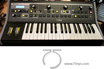 Enlarged view of image